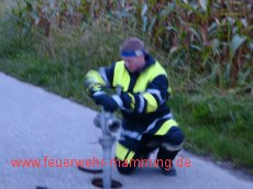 Leistungsprüfung