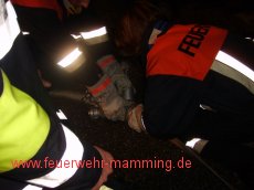 Leistungsabzeichen Wasser